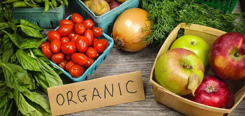 ROSKACHESTVO: BY THE END OF 2020, MANUFACTURERS OF ORGANIC PRODUCTS WILL RECEIVE CERTIFICATES OF CONFORMITY FOR FREE