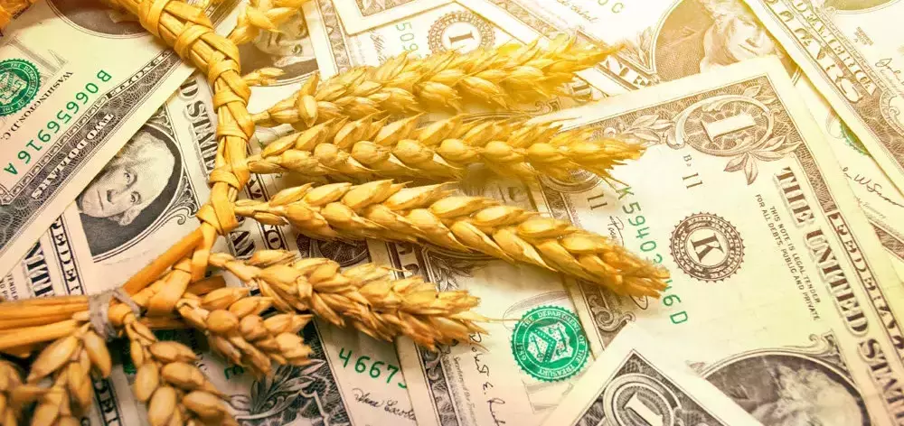 Какие перспективы экспорта российской сельхозпродукции в 2021 году? Мнение экспертов.