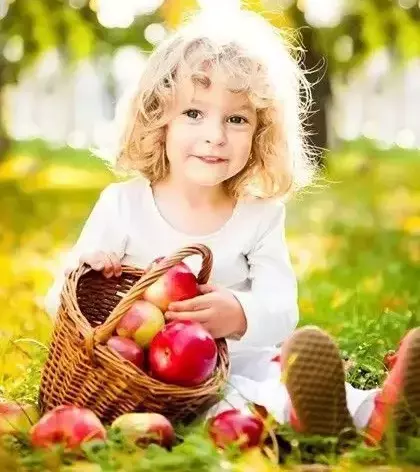Russian Quality Authority suggests to limit the content of pesticides in apples