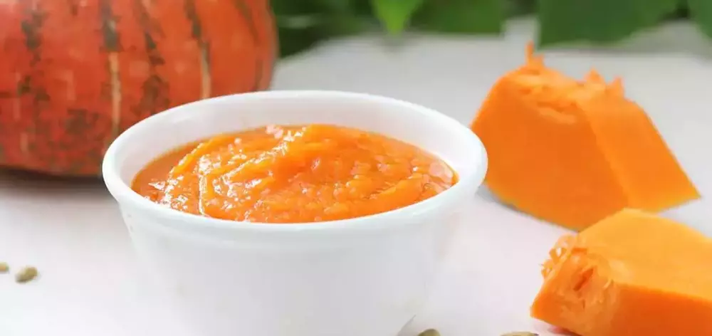 Пюре из тыквы Казахстан опт