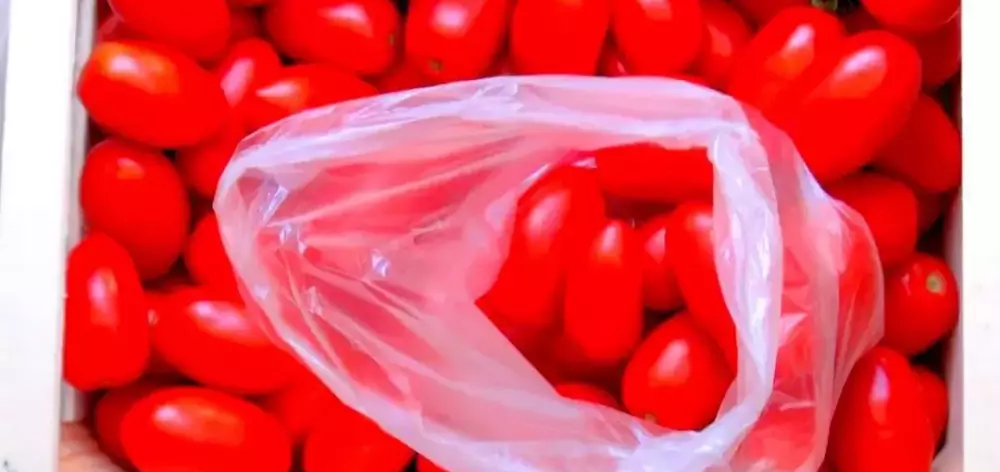 Продукты будут храниться дольше и безопаснее благодаря новой российской разработке