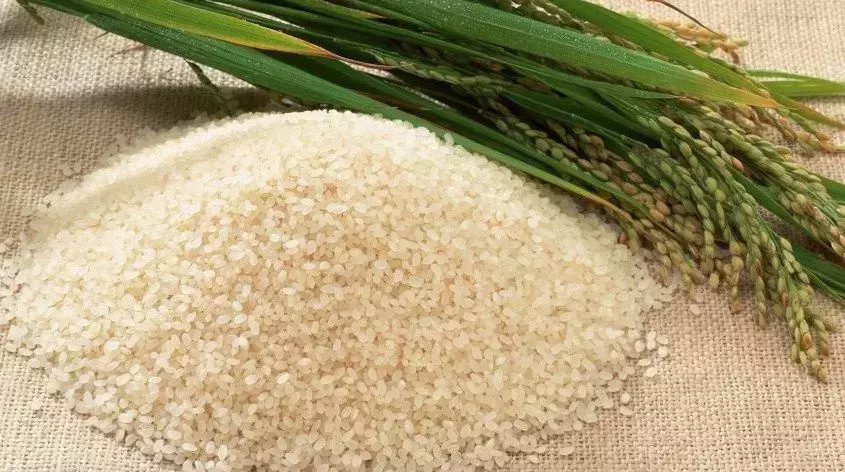 ООО «Файн Юнион» расширяет ассортимент продукции